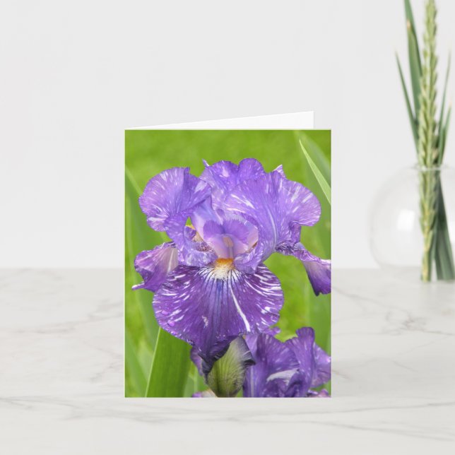 Lila Iris Kort (Framsida)