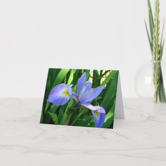 Lila Iris-kort Kort (Framsida)