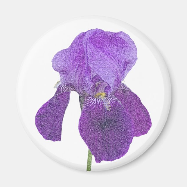 Lila Iris Magnet (Framsidan)