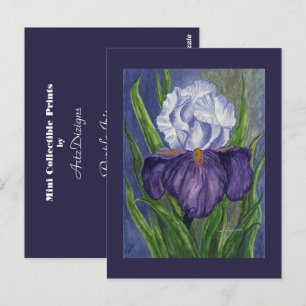Lila Iris Mini Collecsible Prints Vykort