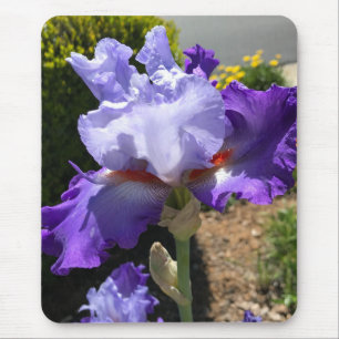 Lila Iris Mouse Pad Musmatta