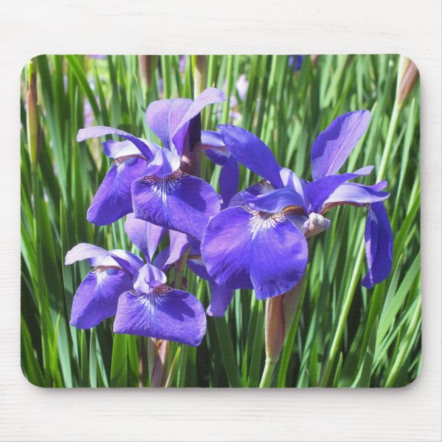 Lila Iris Mouse Pad Musmatta (Framsidan)