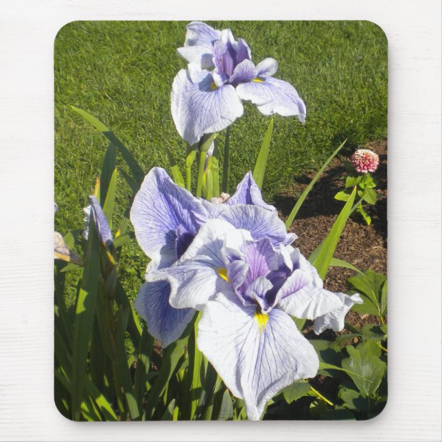 Lila Iris Mousepad Musmatta (Framsidan)