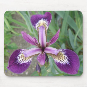 Lila Iris Mousepad Musmatta