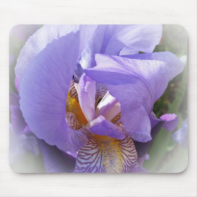 lila iris musmatta (Framsidan)