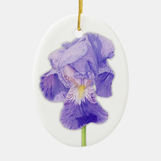 Lila Iris Ornament (Framsidan)