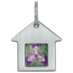 Lila Iris Pet-tagg ID-bricka Husdjur