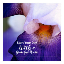 Lila Iris Photo Gratful Heart Quote