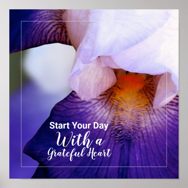 Lila Iris Photo Gratful Heart Quote Poster (Framsidan)
