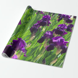 Lila Iris Presentpapper