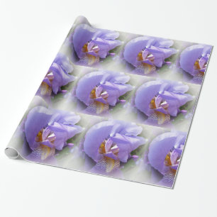 lila iris presentpapper