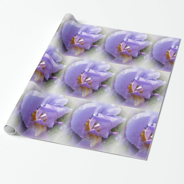 lila iris presentpapper (Utrullad)