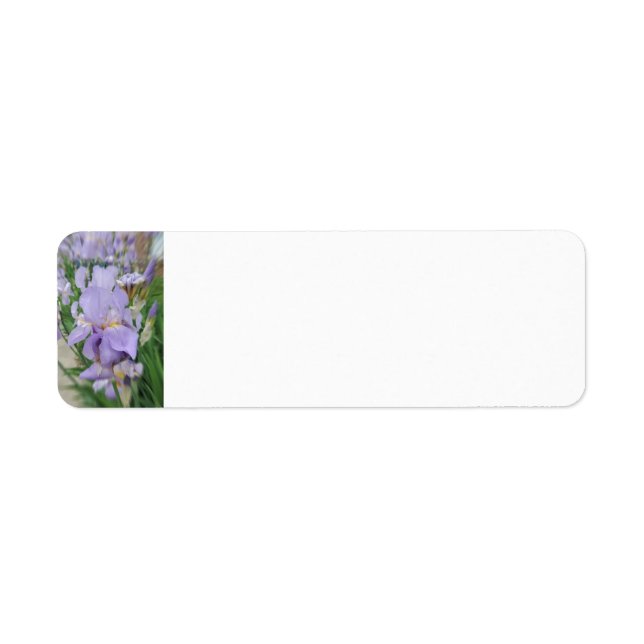 Lila Iris Returadress Etikett (Framsidan)