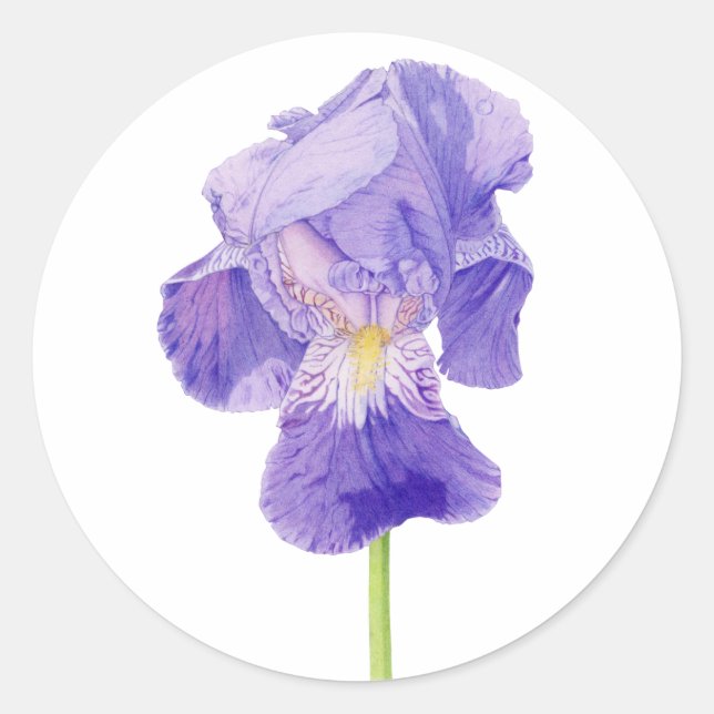 Lila Iris Sticker Runt Klistermärke (Framsida)