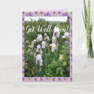 Lila Iris-stryk Garden Get well-kort snart Kort
