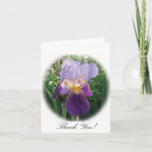 Lila Iris Tackkort