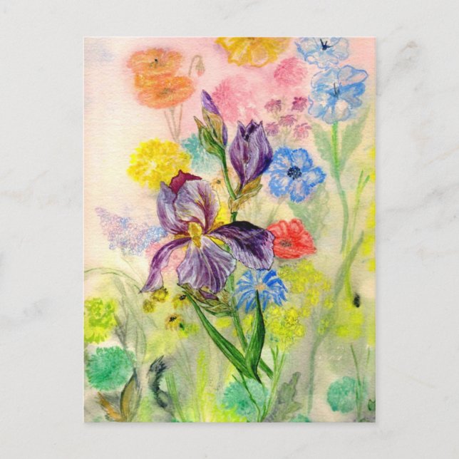 "Lila Iris" vykort (Framsida)