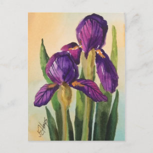 Lila Iris-vykort Vykort