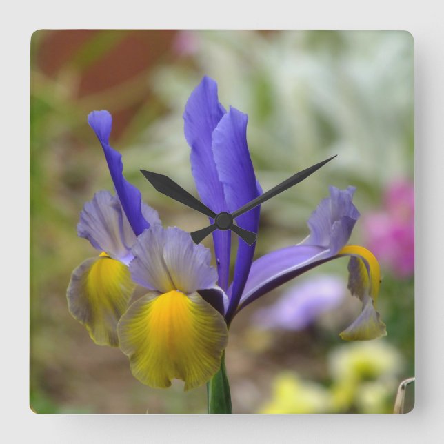 Lila Iris Wall Clock Fyrkantig Klocka (Framsida)