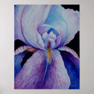 Lila Iris Watercolor Art Poster