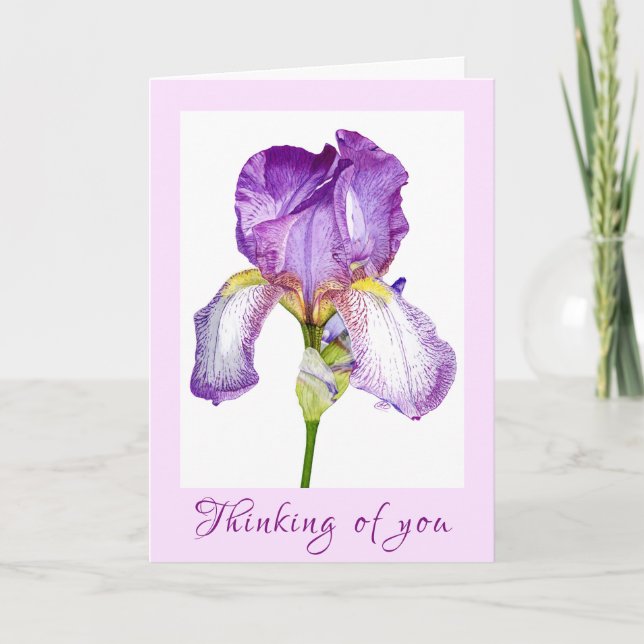 Lila Iris Watercolor Sympathy FolCard Kort (Framsida)