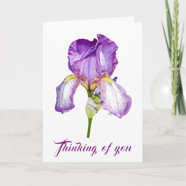Lila Iris Watercolor Sympathy FolCard Kort (Framsida)