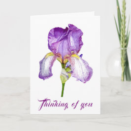 Lila Iris Watercolor Sympathy FolCard Kort