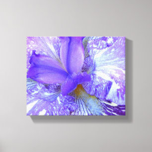 Lila Iris Wrapped Canvas
