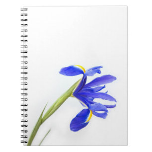 Lila Irisblomma Anteckningsbok