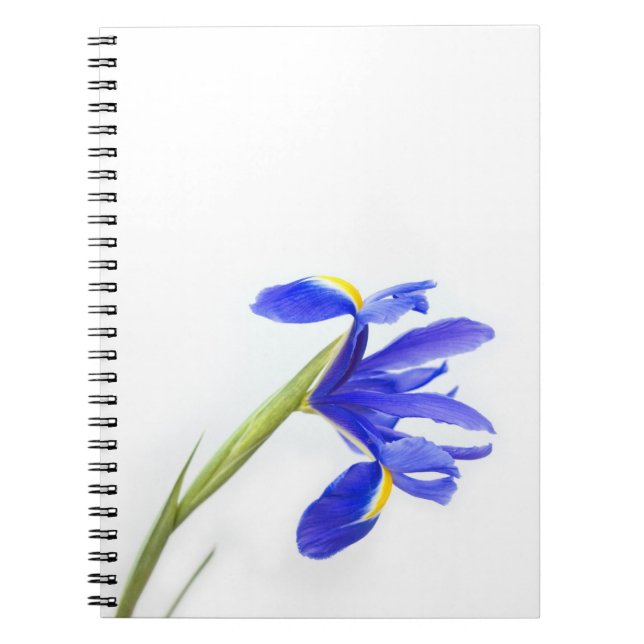 Lila Irisblomma Anteckningsbok (Framsidan)
