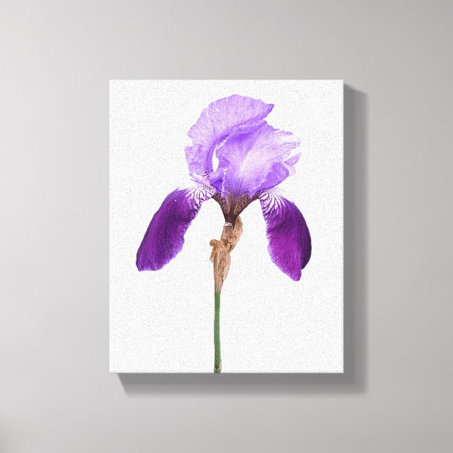 Lila irisblommor trendig boho blomster glamourös f canvastryck (Framsida)