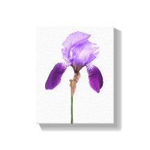 Lila irisblommor trendig boho blomsterglam tjejsti