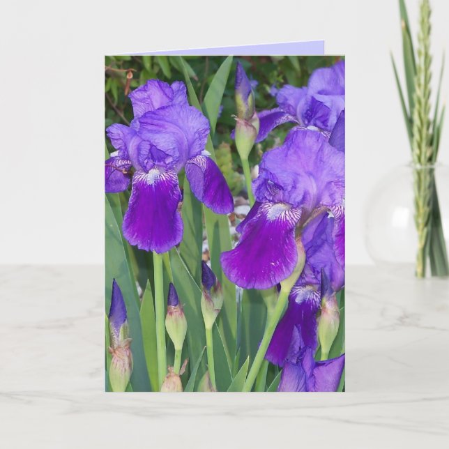 Lila Irises Birday Card Kort (Framsida)