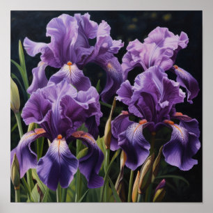 Lila Irises Flower Art Print Poster