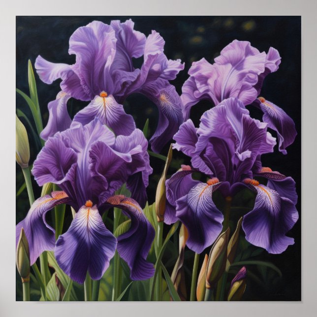 Lila Irises Flower Art Print Poster (Framsidan)