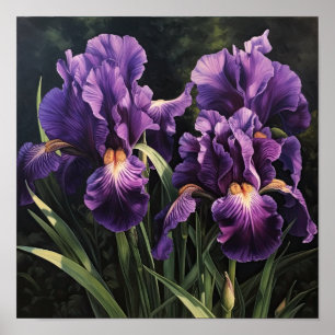 Lila Irises Flower Art Print Poster
