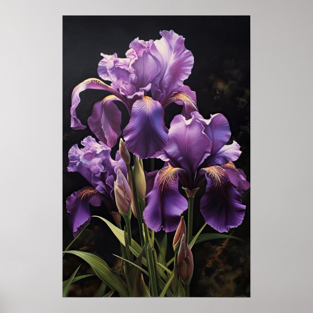 Lila Irises Flower Art Print Poster (Framsidan)