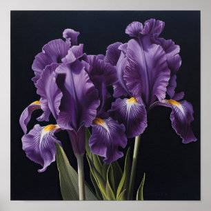 Lila Irises Flower Art Print Poster