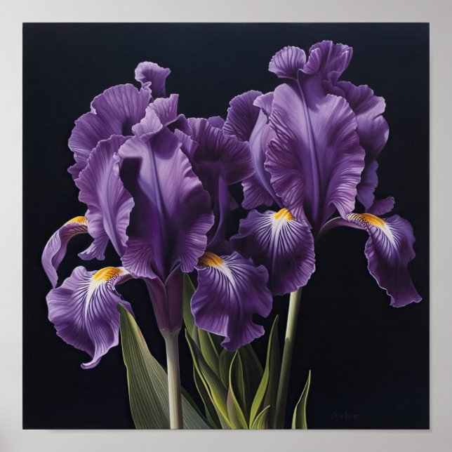 Lila Irises Flower Art Print Poster (Framsidan)