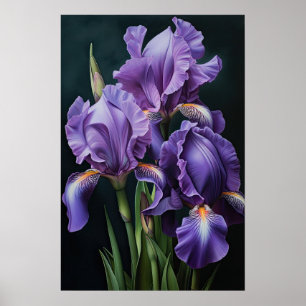 Lila Irises Flower Art Print Poster