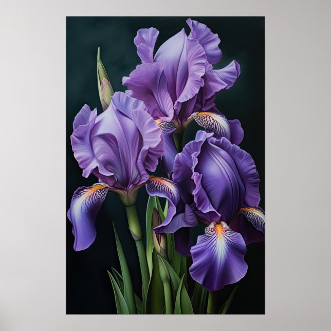 Lila Irises Flower Art Print Poster (Framsidan)