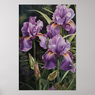 Lila Irises Flower Art Print Poster