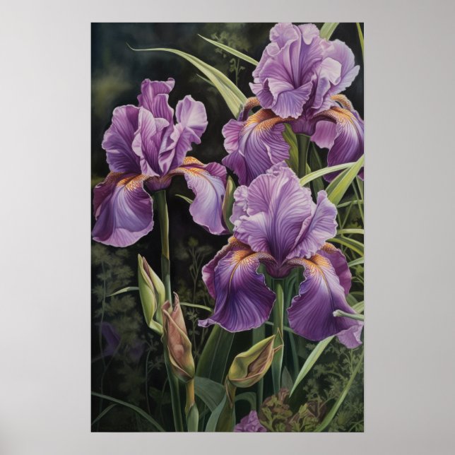 Lila Irises Flower Art Print Poster (Framsidan)