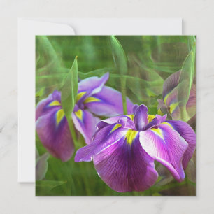 Lila Irises i Rörelse - du tänker på dig själv