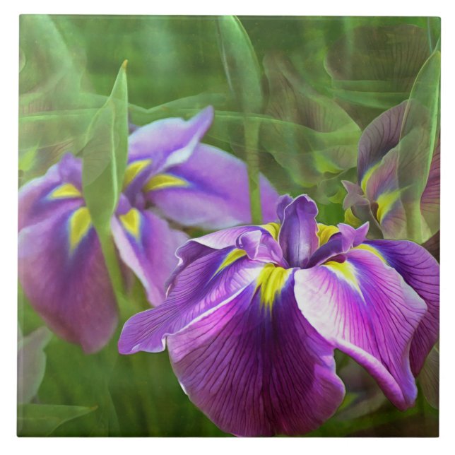 Lila Irises i Rörelse Kakelplatta (Framsidan)