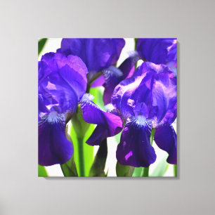 Lila Irises Iris Flower Canvastryck