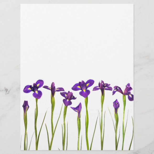 Lila Irises - Iris Flower Customized Template (Framsida)