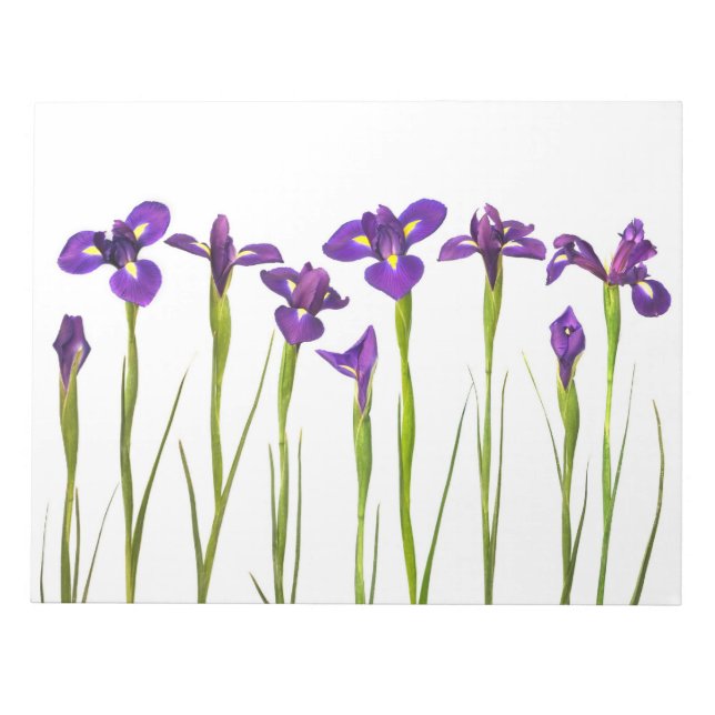 Lila Irises - Iris Flower Customized Template Anteckningsblock (Framsida)