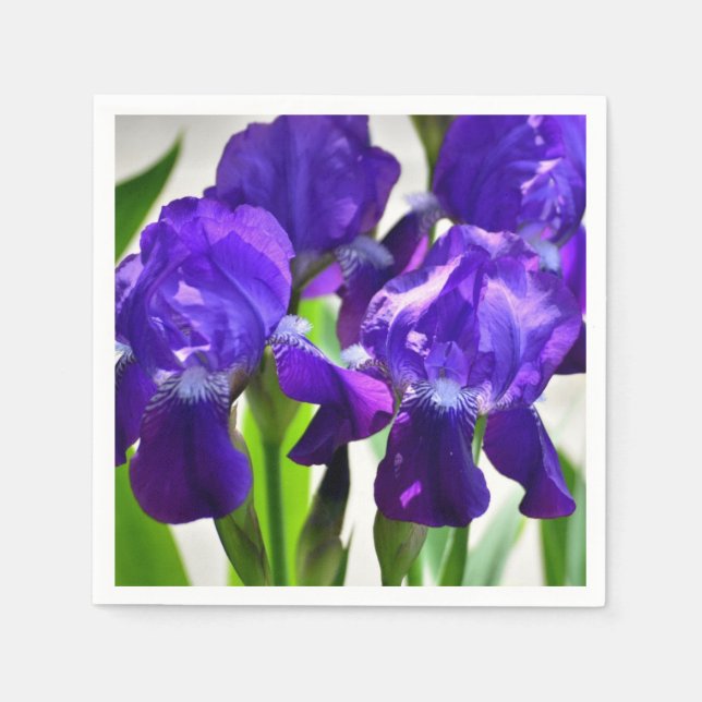 Lila Irises Iris Flower Pappersservett (Framsidan)