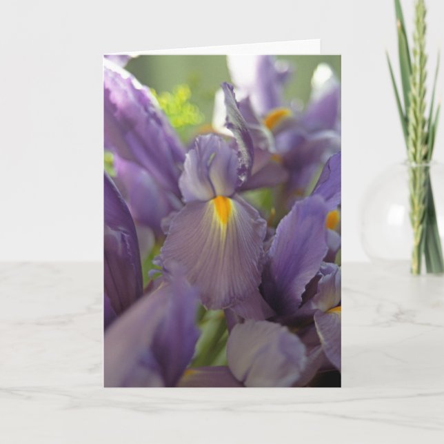 Lila Irises Photo Greeting Card Kort (Framsida)